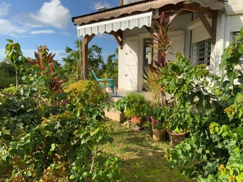 Point d'Or Apartamento | Villa l'Exotik