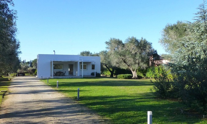 Mesagne Villa | Villa L'Olivo Maestro