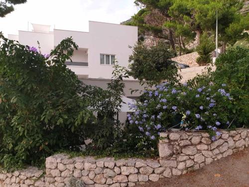 Drasnice Villa | Villa Lasta