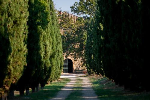 Montalcino Complejo | Villa Le Prata - Residenza Del Vescovo