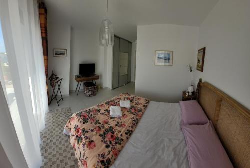 Saint-Alban Casa | villa les lavandes