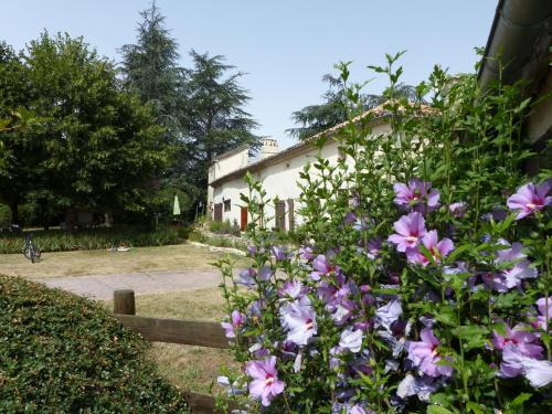 Beauville Casa | Villa Luxe avec Spa, Piscine Chauffée & Salle de Sport à Beauville