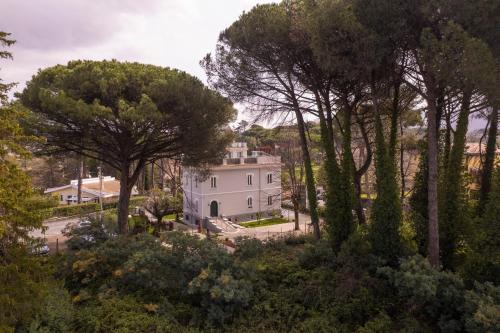 Grottaferrata Casa | VILLA MADRE Suites e Private Spa