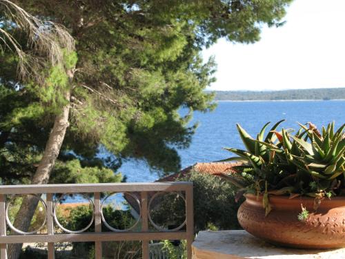 Zavala Casa | Villa Mala