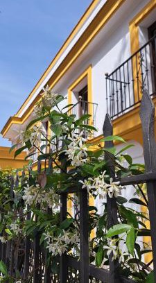 Centro histórico de Jerez de la Frontera Apartamento | Villa Marcel
