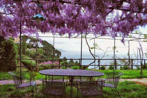 Raito Casa | Villa Maria Antonietta