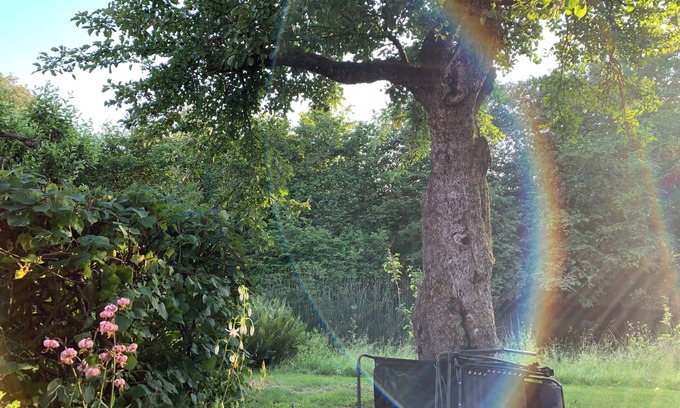 Stora Rycketofta Casa | Villa Maria Garden Cottages