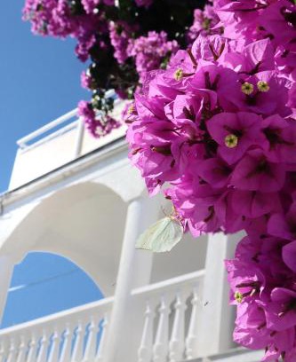 Iz Apartamento | Villa Maris