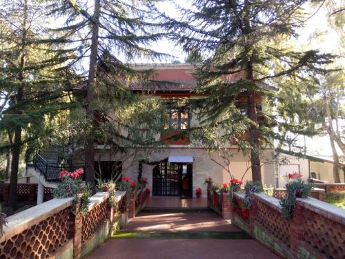 Pedara Cama Y Desayuno | Villa Morgante B&B