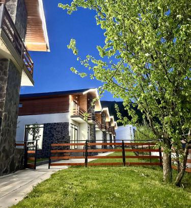 Bakuriani Hotel | Villa Mtashi