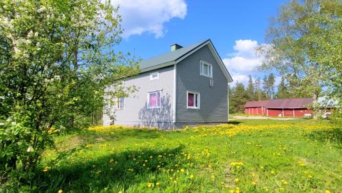 Rautjarvi Casa | Villa Mummola Neljän makuuhuoneen asunto lähellä jokea