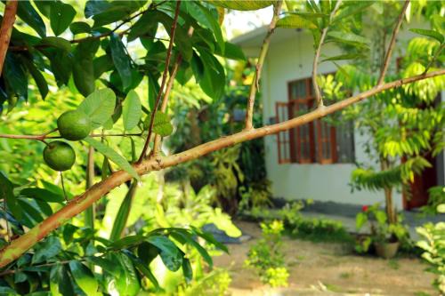 Imaduwa Apartamento | Villa Nature's Bounty