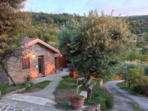 Laureana Cilento Casa | Villa Nigro - Suite Zagare