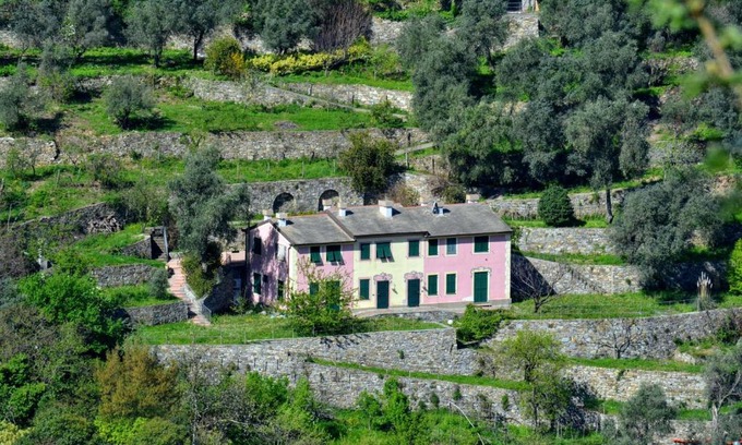 San Rocco Apartamento | Villa Olivari - apt la Lavanda