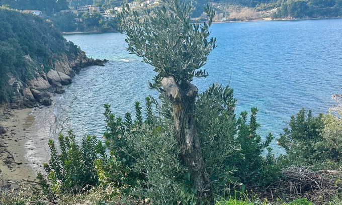 Skiathos Casa | Villa Panorama, the magic of Skiathos in a family villa with history