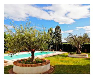 Grottammare Cama Y Desayuno | Villa Paola