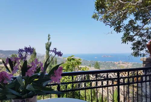 Petra Casa | Villa Petri