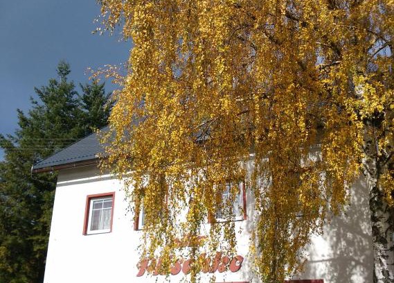 Lipova-Lazne Casa | Villa Plischke