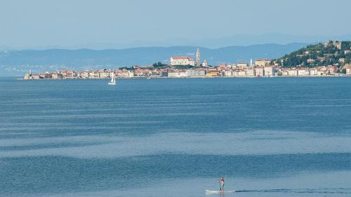 Crveni Vrh Apartamento | Villa Riva