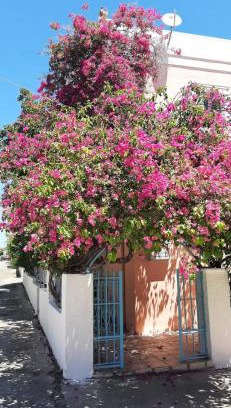 Perdhika Apartamento | Villa Rodanthos