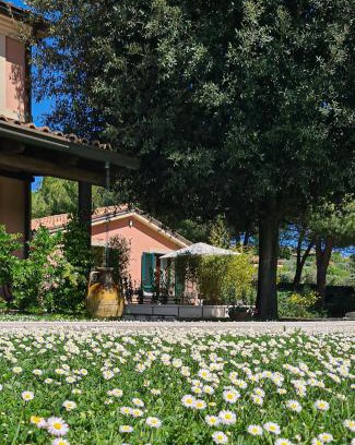 Camerano Apartamento | Villa Rosa Augusta