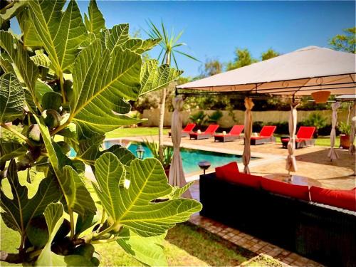 Tameslouht Villa | Villa rouge avec piscine et golf