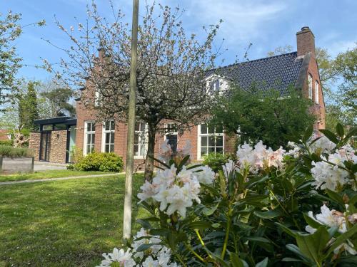 Oranjewoud Cama Y Desayuno | Villa Royale