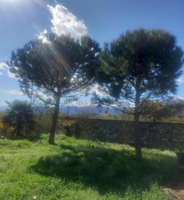 Burolo Apartamento | Villa Sigerico apartment
