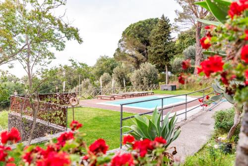Capri Leone Casa | Villa Tecla