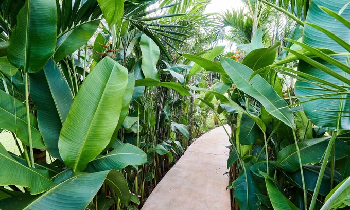 Tulum Casa | Villa Tortuga lux 4 Bdr Big garden*Pool *Cenote
