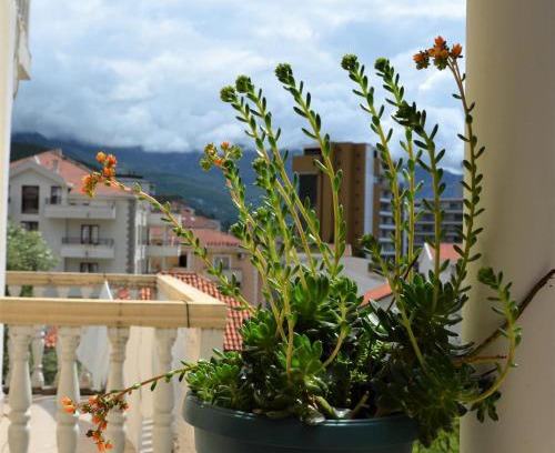Babin do Apartamento | Villa Vujačić