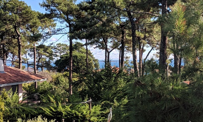 Piraillan Casa | Villa en Arcachon