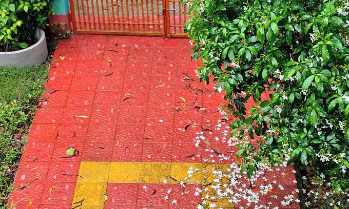 Bangladesh Casa | Village Duplex in Barishal with Free Local Guiding