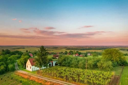 Municipality of Drenje Casa | Village Wine House