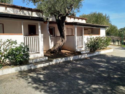 Marina Di Camerota Complejo | Villaggio Residence Villamarina