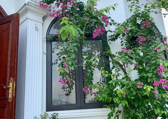 Thach That Apartamento | Villas Little White House Quê Vải