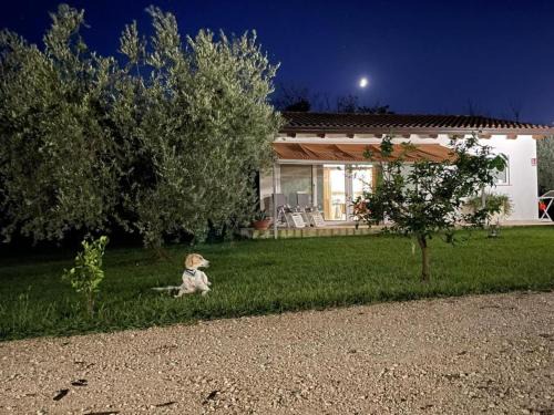 Pisticci Casa | Villetta Bianca Pisticci-Matera