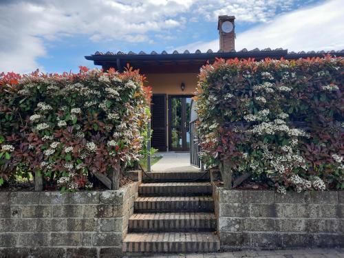 Contignano Apartamento | Villetta Pia
