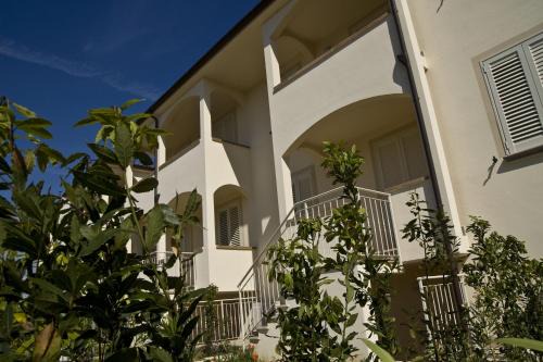 Mazzanta Apartamento | Villetta Tina