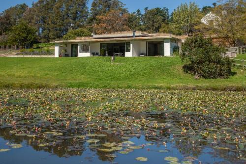 Hermanus Apartamento | Villetta