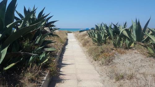 Ardea Casa | Villino Fronte Mare