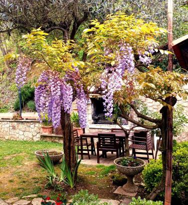 Albettone Casa | Villino San Silvestro