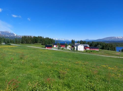 Hattfjelldal Otro | Villmarksgård camping