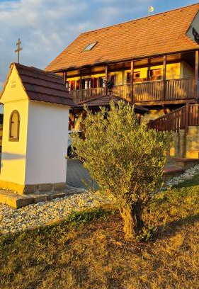 Skalica Casa | Vinárstvo u Kohúta
