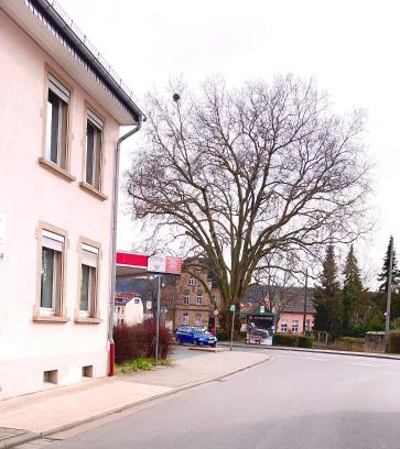 Bad Sobernheim Casa | Vinaring Homestay