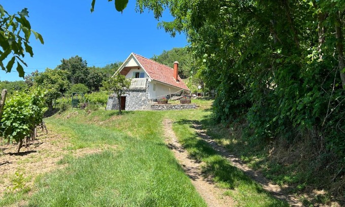 Kaptalantoti Apartamento | Vine Cottage