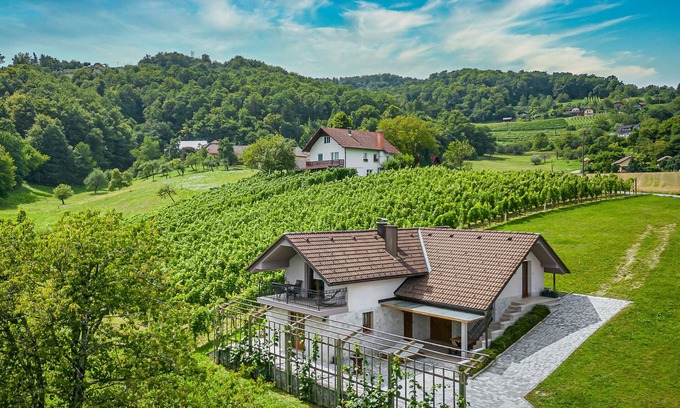 Gorenja Vas pri Smarjeti Casa | Vineyard Cottage Radovlja With Sauna, Šmarješke Toplice, Slovenia