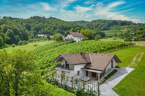 Gorenja Vas pri Smarjeti Casa | Vineyard Cottage Radovlja With Sauna - Happy Rentals