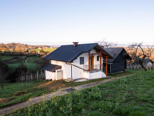 Novo Mesto Casa | Vineyard cottage Majolka