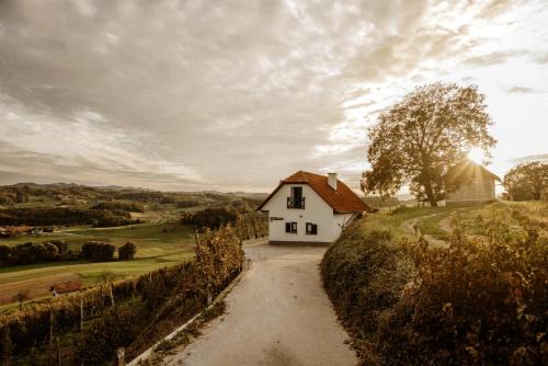 Smarje pri Jelsah Casa | Vineyard Cottage Zdolsek